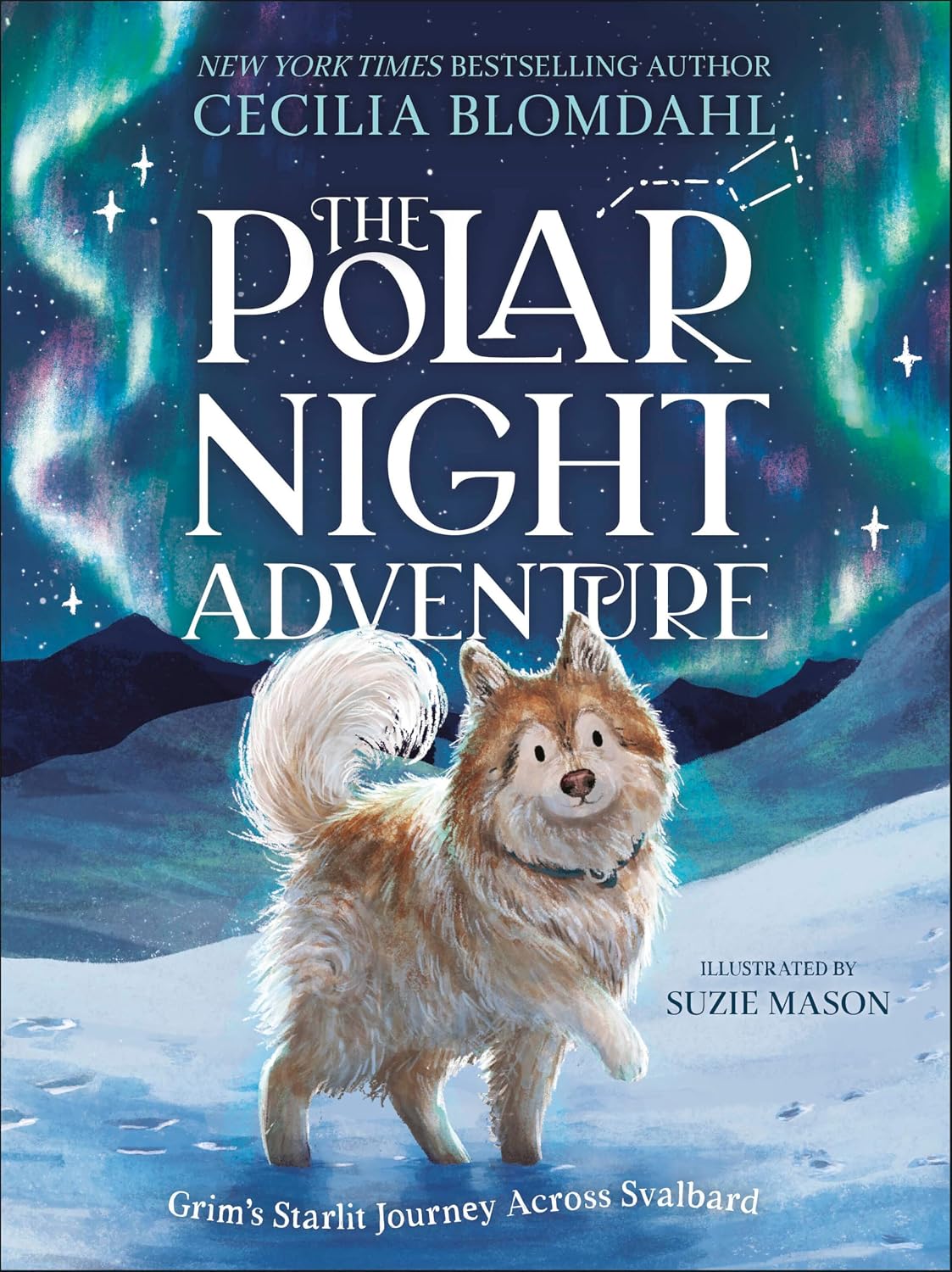 The Polar Night Adventure by Cecilia Blomdahl